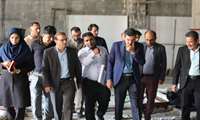 بازدید معاون توسعه مدیریت و منابع انسانی دانشگاه از پروژه های در دست ساخت میناب و دانشکده شرق هرمزگان
