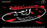 اربعین حسینی، تجلی ماندگاری پیام عاشورا و وفاداری یاران سیدالشهدا(ع) تسلیت باد